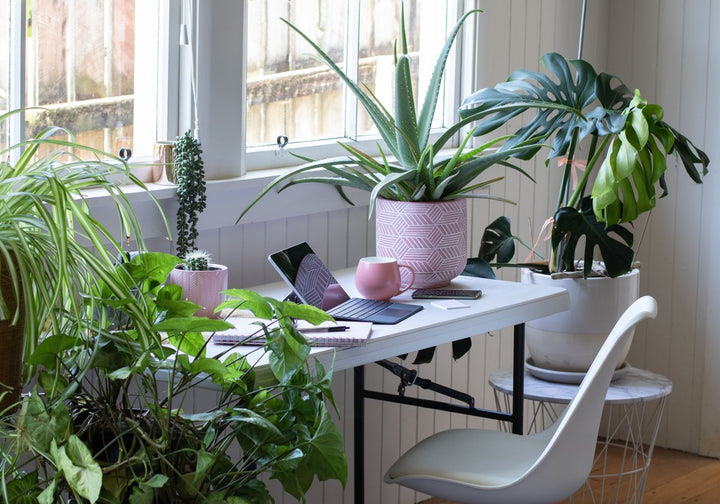 Office | myjunglehome