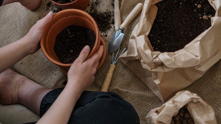 Plant Food & Soil | myjunglehome