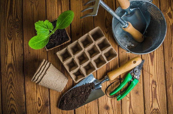 Tools & Accessories | myjunglehome