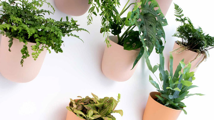 Wall Pots | myjunglehome